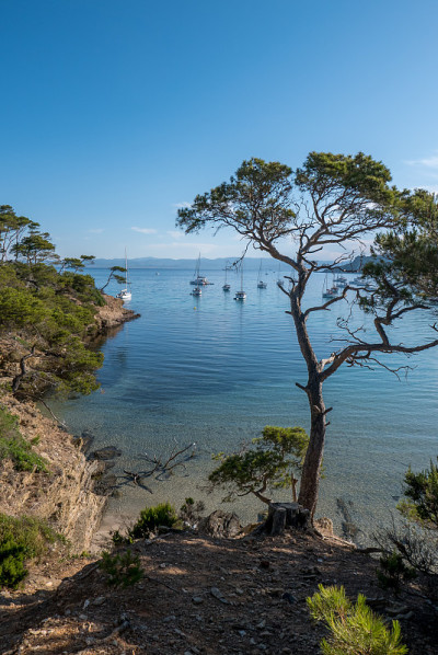 Discovery of the island of Porquerolles in summer.