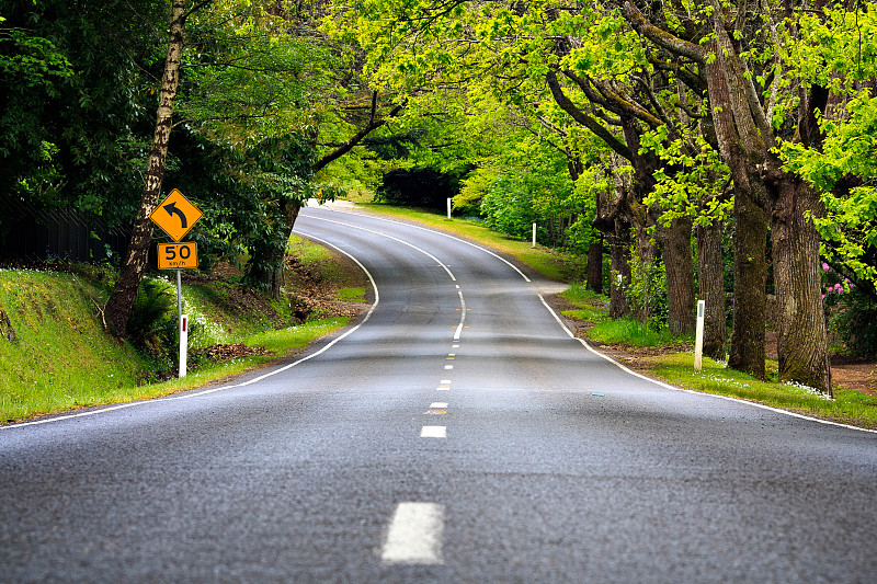 秋色的维多利亚式道路