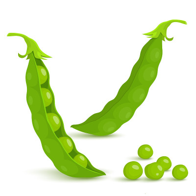 绿豌豆。在白色背景上分离的绿色豌豆荚，向量扁平风格