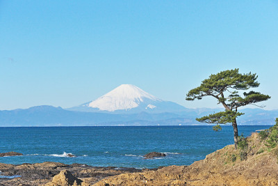 富士山，我在tateishikouen看到的