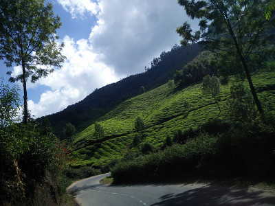 路