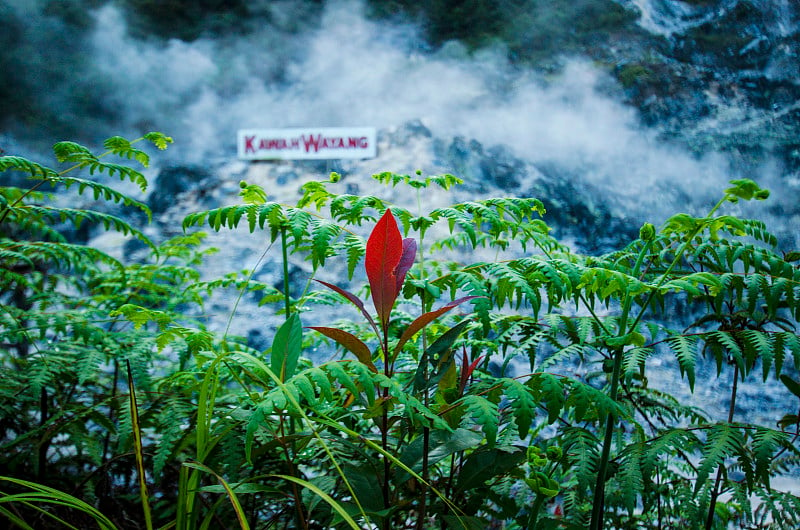 草山与烟雾背景