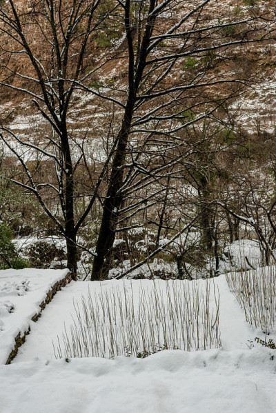 喜马拉雅山上的雪景