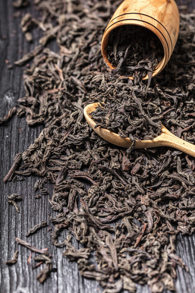 干红茶大叶茶