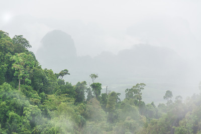 山和雾的景观，甲米，泰国