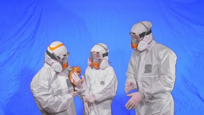 兽医做身体检查，检查动物疾病。科学家、卫生工作者和猫狗的家庭。