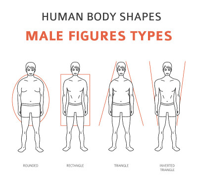 人体形状。男性人物类型设置