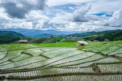 山上的梯田