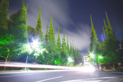 东京青山明治神宫外苑