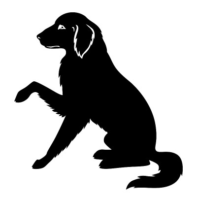 一只大狗的剪影，金毛猎犬