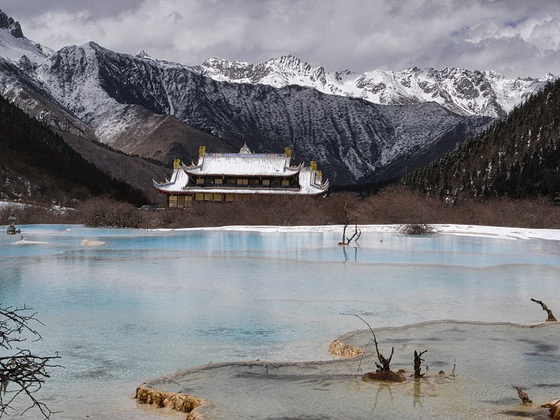 黄龙在中国的雪地里