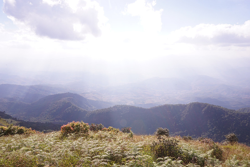 蒋介石道山