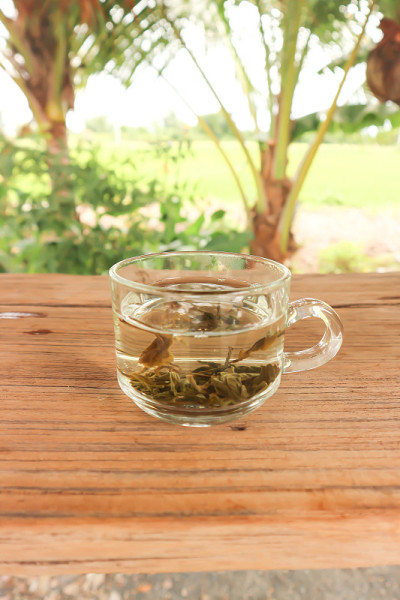 茶，热茶或茉莉花茶