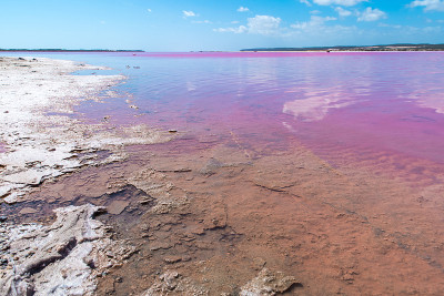 西澳大利亚州格里高利港的Pink Lake Hutt Lagoon风景优美的自然景观
