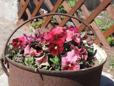 花