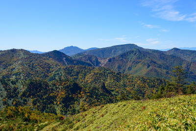 Shibu pass在日本的秋天