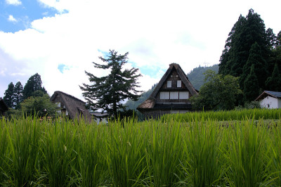 Gokayama