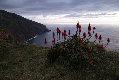 在马德拉岛的“梦幻岛”(Miradouro do Fio)观景台，带有芦荟烛台的海岸景色