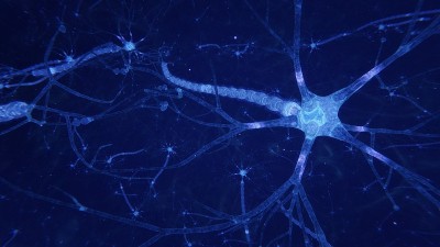 3d渲染有突触和轴突的大脑神经元