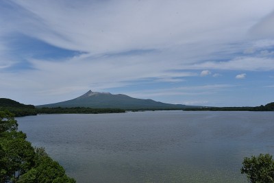 函馆在夏天