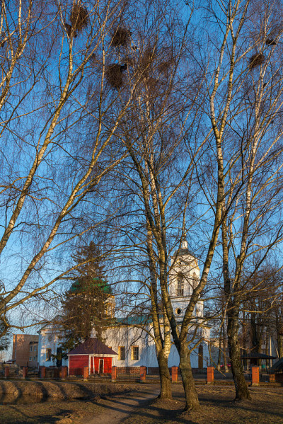 俄罗斯莫斯科地区Sergiev Posad区Vasilyevskoye村的St. Basil Gre