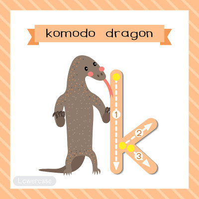 小写字母K跟踪。科莫多龙用两条腿站立