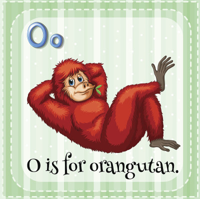 字母O