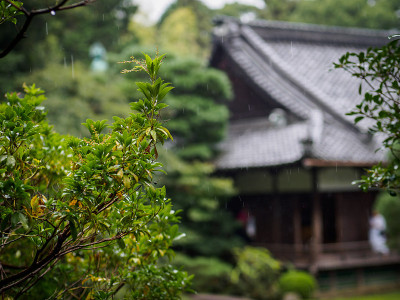雨中京都公园与屋