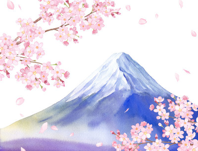 日本春天的风景。观赏樱花和富士山。水彩插图上的白色背景。