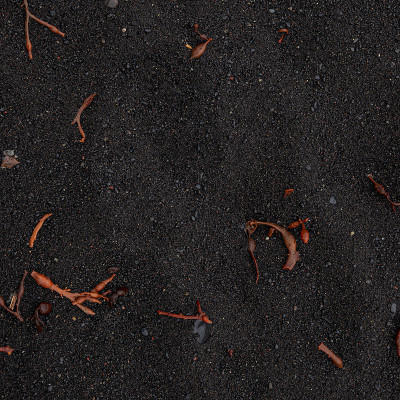 火山黑色沙滩与一些热带红海藻作为背景和纹理，特写，细节。