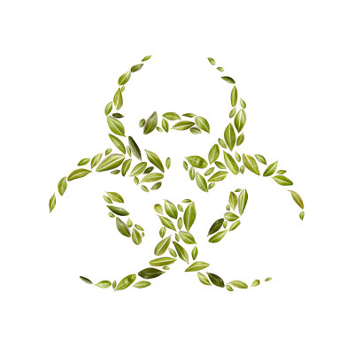 带有放射性标志的小绿叶组成的花，标志在白色的背景上