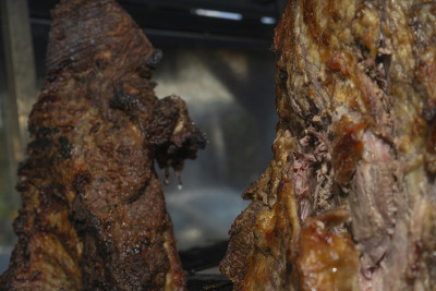 给美洲驼烤肉