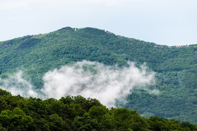 滑雪胜地小镇的山毛榉山和上升的云雾雾森林绿色的和树在北卡罗来纳州蓝岭阿巴拉契亚烟雾烟雾
