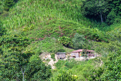 小山上的小屋