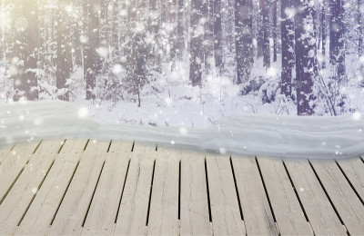 冰雪森林