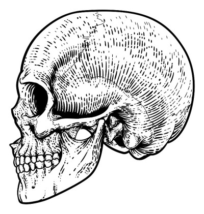 骷髅死神复古木刻插图