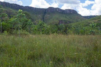 veadeiros的Chapada dos veadeiros
