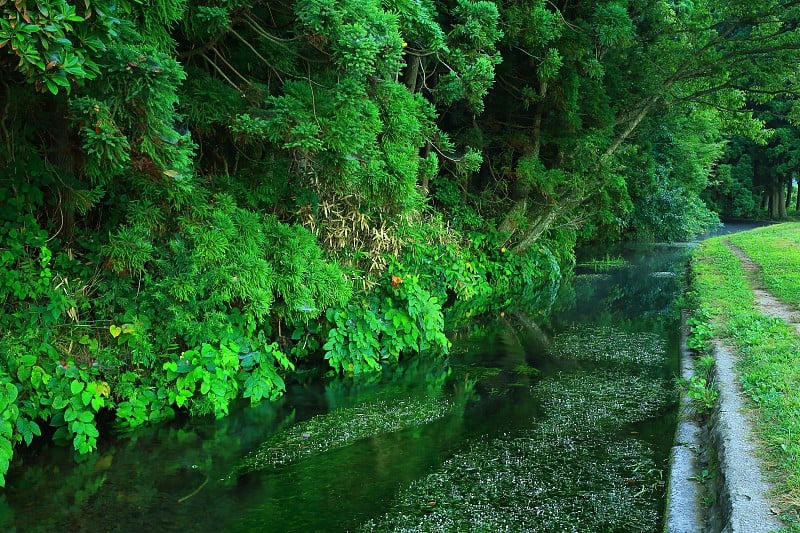 夏天的紫谷河