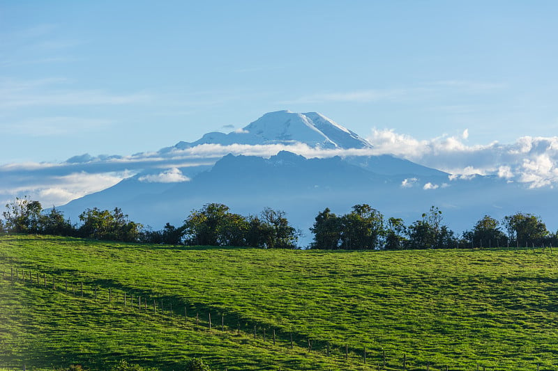 钦博拉索火山与绿色草地