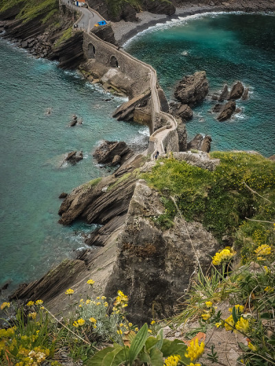 从圣胡安海岸到Gaztelugatxe。黄色的花在春天和夏天
