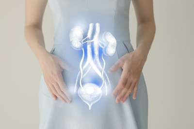 穿着蓝色衣服的女人手里拿着虚拟的肾脏系统。手绘人体器官、排毒保健、保健医院服务概念图库