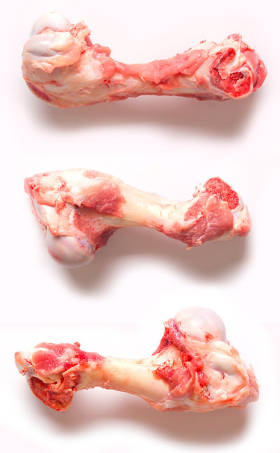 猪肉骨头