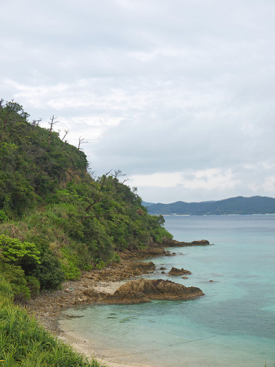 Amami海岸