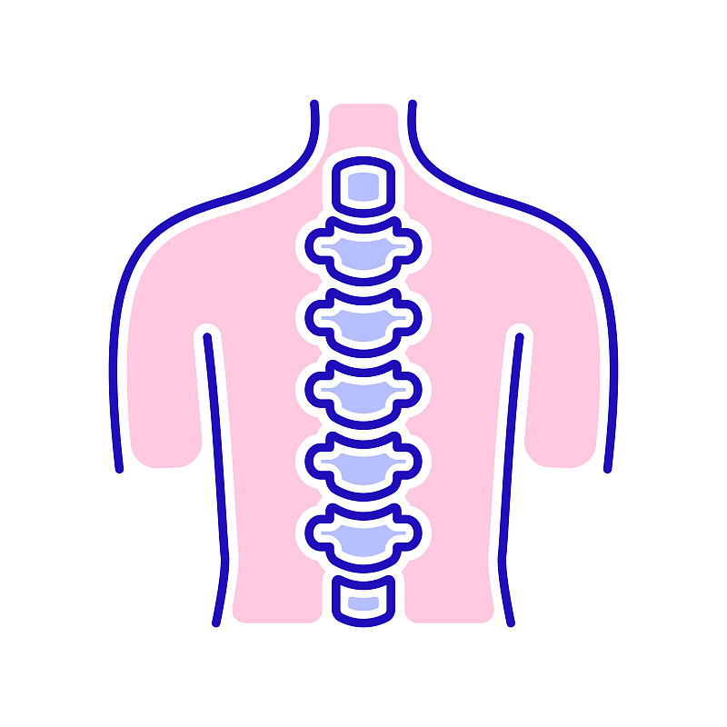 人体脊柱解剖彩色线图标。卫生保健。孤立的向量元素。用于网页、手机应用、促销的轮廓象形图。