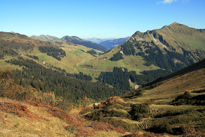 在山里