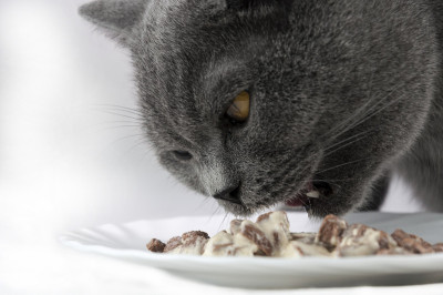 午餐