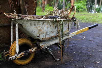 黄cart-Melvert-Vanuatu