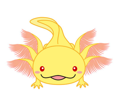 一个horlotl Woper looper角色插图