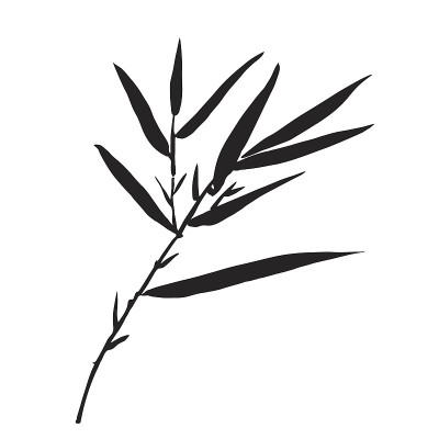 竹叶背景。竹子的顶端。