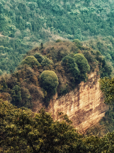 青城山自然景观